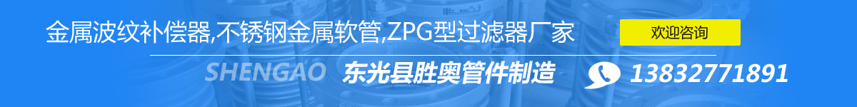 东光县胜奥管件制造有限公司